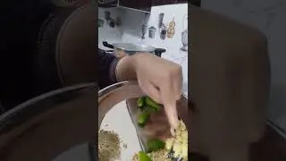 Alo msor ki Dal B'nai Manny AJ .
