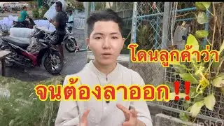 เมียพี่ชายเป็นคนไทย🇹🇭หรือคนลาว3 ‼️กุมภาพันธ์ 2569