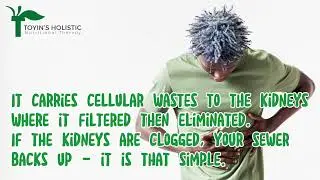 Learn how to keep your lymphatic system healthy!