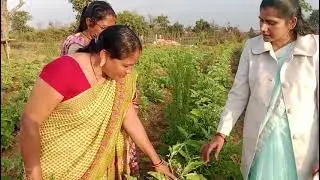 indiaagro product result, MI VEER RESULT, @ MANDLA ,M.P.