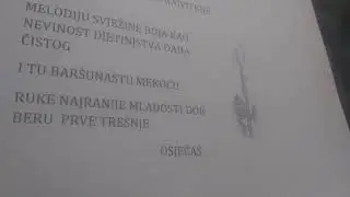 POSTOJANOST - iz Neobjavljene knjige 