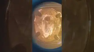 नकली पोखराज 🌄 को कैसे पहचाने? आइए Lab में टेस्ट करतें हैं ?#gemstone #sapphire