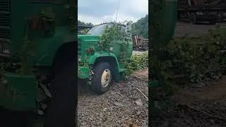 Slowly but surely. #Scrap-Life #recycle #recycling #junk #trailer #truck #kudzu #project #cleanup