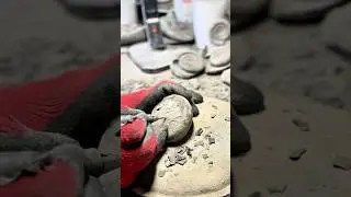 PREPARING A Perfect Fossil! #fossilhunting #geology #fossil #ammonites #fossilprep