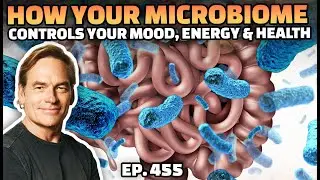 The Gut-Brain Connection: How Your Microbiome Controls Your Mood, Energy & Health