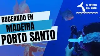 Vlog | Buceo en pecios en Porto Santo 🐠🚢  Madeirense y la corbeta General Pereira D’Eça