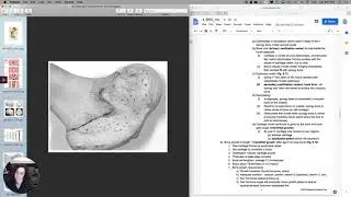 Skeletal System 6  Endochondral ossification and interstitial growth