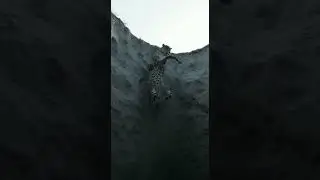Leopard's Deadly Mistake Falls into a Hidden Pit... and a GIANT PYTHON is Waiting! 😱
