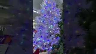 SC. BIG LOTS. Christmas tree PRICE.  Разные цены на елочки.