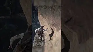 Карта сокровищ с высокими ставками 3 - RDR2 #поисксокровищ #игровойпроцессrdr
