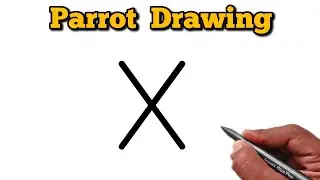 How to draw parrot drawing from letter X | Easy parrot drawing for beginners