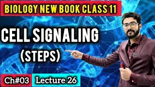 Cell Signaling Class 11 | Signal Reception, Transduction & Cellular Response | New Book 2025