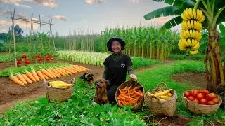 Harvest: Yellow Carrots, Tomatoes, Corn, Sugarcane, Bananas To Sell At The Market &ndash; Cook With Them
