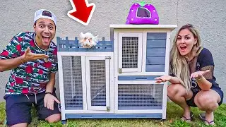 CASA dos SONHOS para o PORQUINHO da ÍNDIA BEBÊ RESGATADO do LIXO