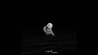 angels (official audio, prod myssbeats)
