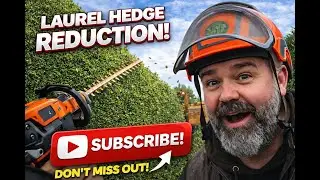 Laural hedge reduction