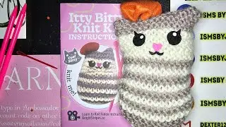 Five Below Itty Bitty Knit Kit Cool Kitty How to knit For Beginners
