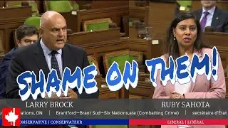 Shame on them for blaming Stephen Harper and the past Conservative government!