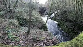 Rishworth - Booth Wood 4K 9 Dec 19 (4a,5a)