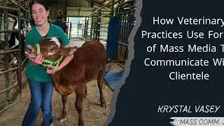 How Veterinary Practices Use Forms of Mass Media To Communicate With Clientele- Podcast