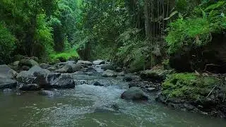 River ASMR Sounds &ndash; Quarry Creek &mdash; clean water, no noise.