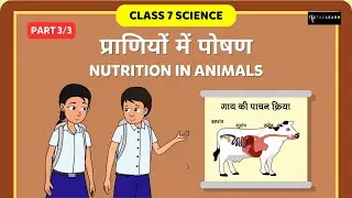 प्राणियों में पोषण | Nutrition In Animals | Part 3/3 | Class 7 Science Chapter 2 | TicTacLearn