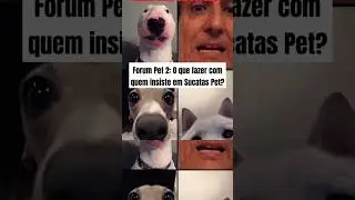 F&oacute;rum Pet 2: O que fazer com quem insiste em Sucatas Pet?