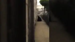 CREEPY WITCH FOOTAGE!! AT CEMETERY #scary #frankotv