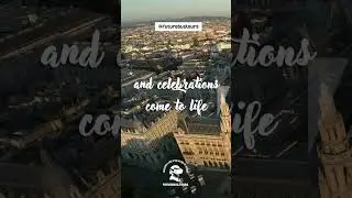 💜Book Tickets y.futurebus.tours #wien #shortsvideo #shortsyoutube Wien Rathaus iconic landmark