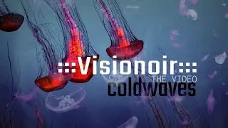 Visionoir - Coldwaves (Official Video) [post-gothic-rock]