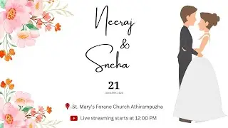 NEERAJ & SNEHA || WEDDING || WEDARTISTRY PHOTOGRAPHY