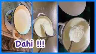 Yogurt/ Dahi - Dahi Jamanei ki tips and Tricks - By Merium Pervaiz !!!