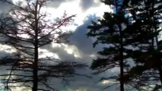 Astwind ~ mountain winds between the woods