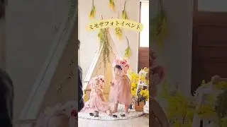 ミモザフォトイベント