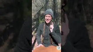 Intro to nature-based storytime for kids