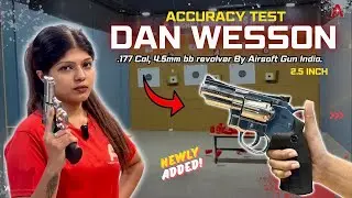 Dan Wesson CO₂ BB Air Revolver vs Target Shooting Test | Power, Accuracy & Performance Review
