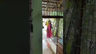 Rainy ഗോലു Evening 😻❤️#viralvideo #varnavlogz #agraharam #kalpathy #kerala #home