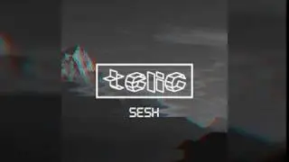 SESH (Prod. Telic)