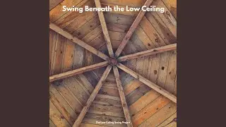 Still Swinging