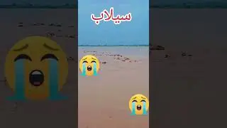 Flood in Pakistan 2025 | Ravi river flood #floodinpakistan #flood