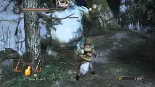 Dark Souls 2 - Things Betwixt (Hidden Area)