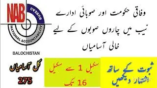Government of Pakistan &ndash; National Accountability Bureau NAB Jobs new 2019|NAb jobs 2019 all Pakistan