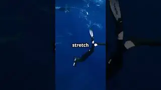 🦈 The Sixgill Shark! 🌊🔍 #youtubeshorts #facts #tiktok #fy #fyp #viral #animals #shorts