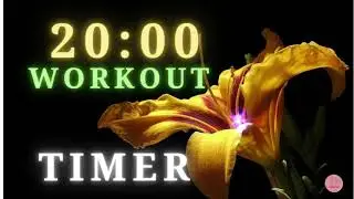 20 minutes Timer with 140-150 bpm music