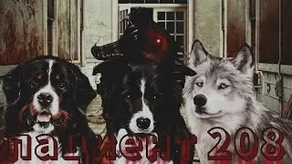 schleich фильм/пациент 208/психиатрическая клиника &radic;7 /по мотивам истории из взахлёб 💊