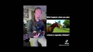 Horse And Chicken