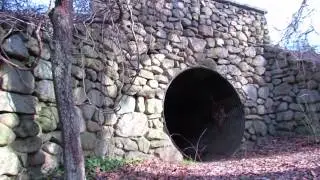 Hidden cow tunnel on Cape Cod