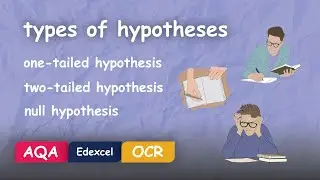 Types of Hypotheses in Psychology Explained #Alevel #Revision