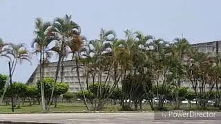 Faro