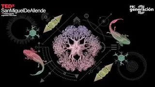 Raymond Bechard - TEDx San Miguel - 